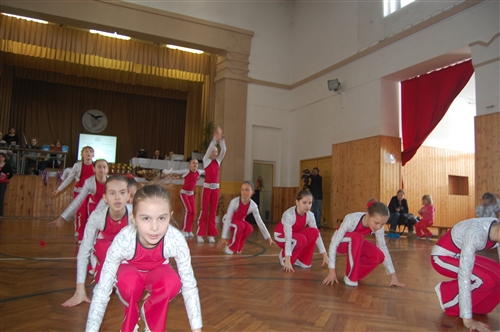 Obrázek v galerii