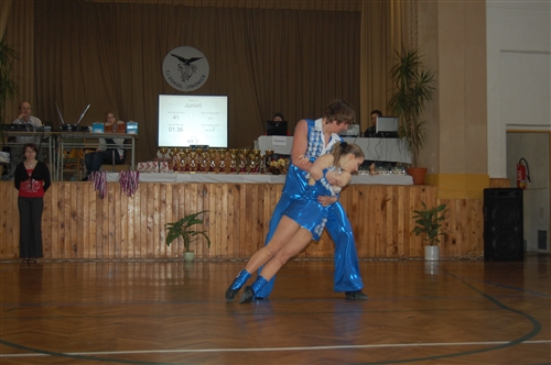 Obrázek v galerii