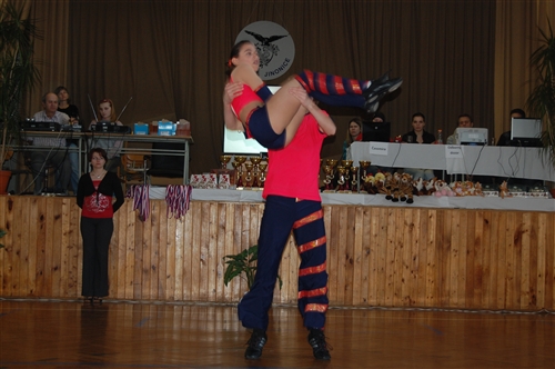 Obrázek v galerii