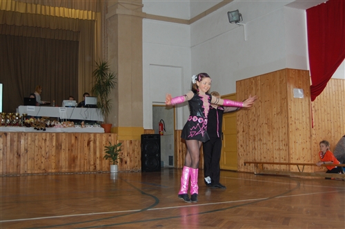 Obrázek v galerii
