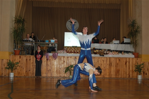 Obrázek v galerii