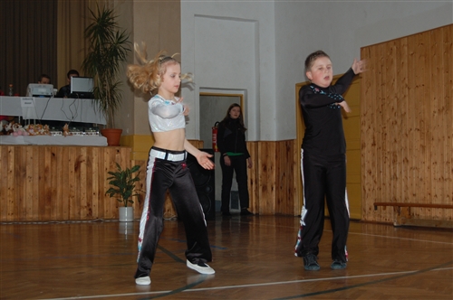 Obrázek v galerii