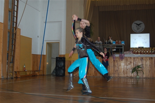 Obrázek v galerii