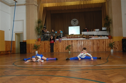 Obrázek v galerii
