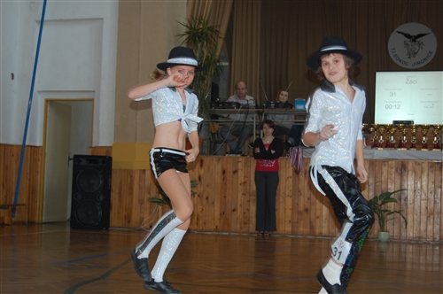 Obrázek v galerii