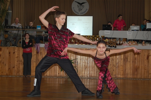 Obrázek v galerii