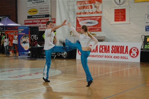 Obrázek v galerii