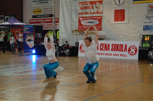 Obrázek v galerii