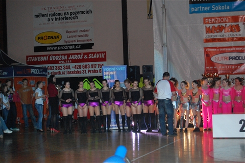 Obrázek v galerii
