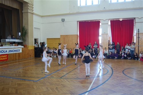 Obrázek v galerii