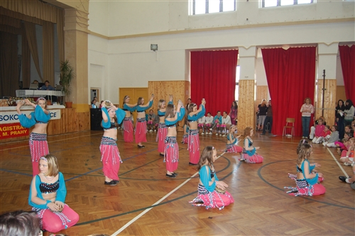 Obrázek v galerii