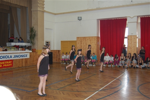 Obrázek v galerii