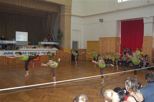 Obrázek v galerii