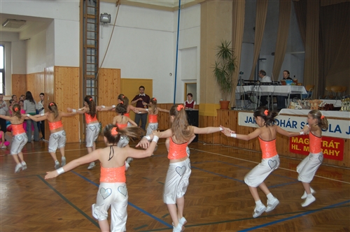 Obrázek v galerii