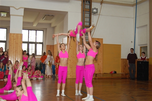 Obrázek v galerii