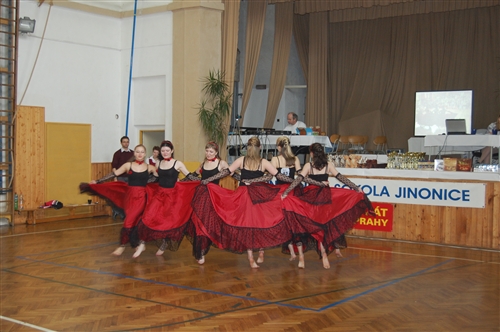 Obrázek v galerii