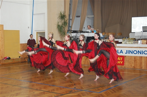 Obrázek v galerii