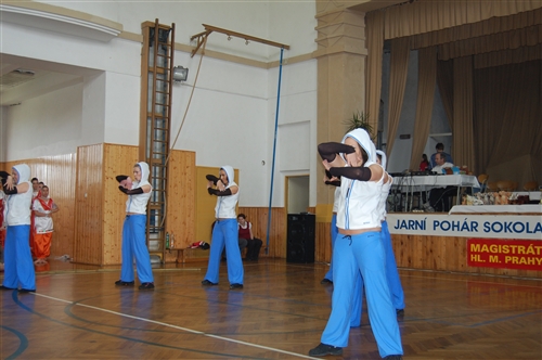 Obrázek v galerii