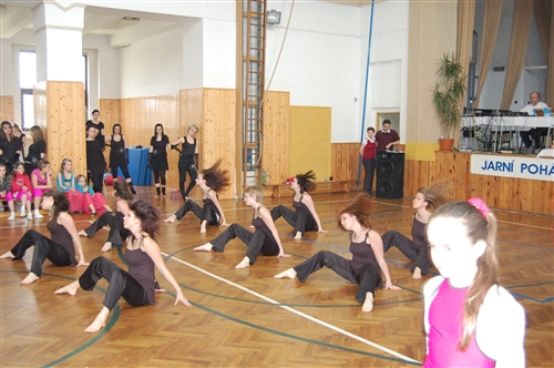 Obrázek v galerii