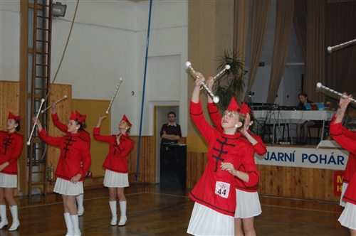 Obrázek v galerii