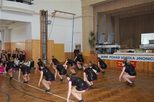 Obrázek v galerii