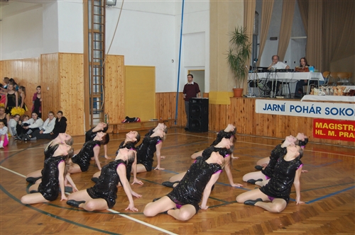 Obrázek v galerii