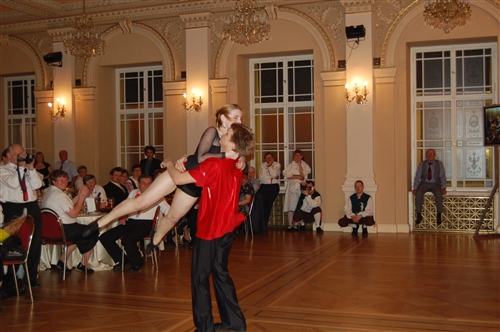 Obrázek v galerii