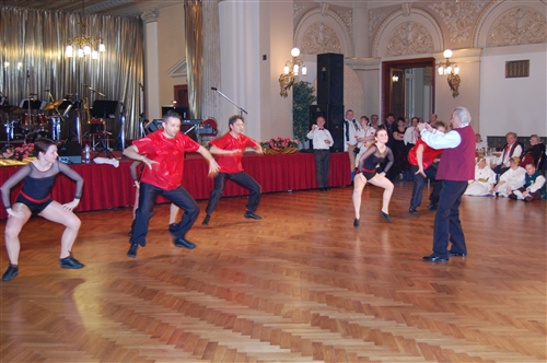 Obrázek v galerii