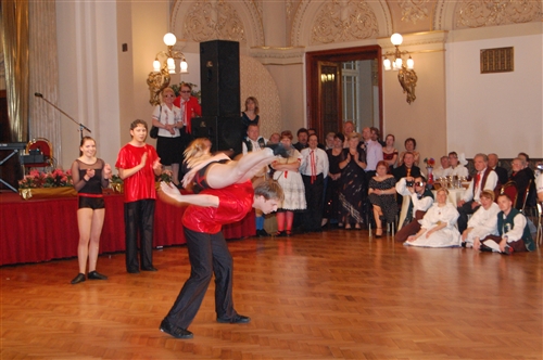 Obrázek v galerii