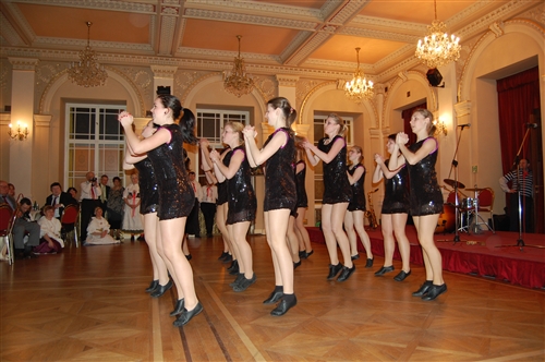 Obrázek v galerii