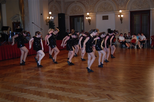 Obrázek v galerii