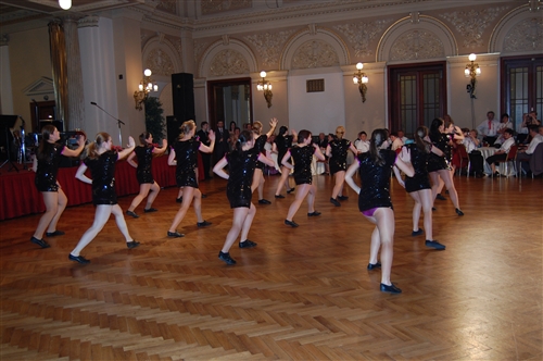Obrázek v galerii