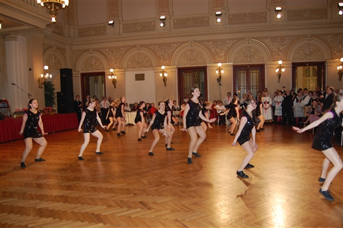 Obrázek v galerii