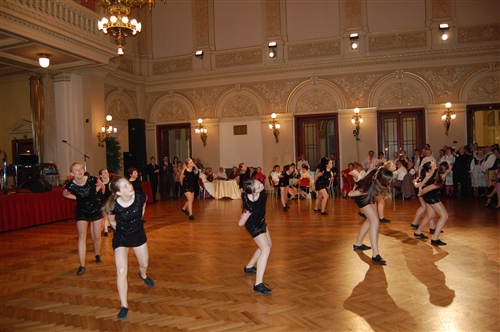 Obrázek v galerii