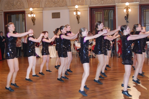 Obrázek v galerii