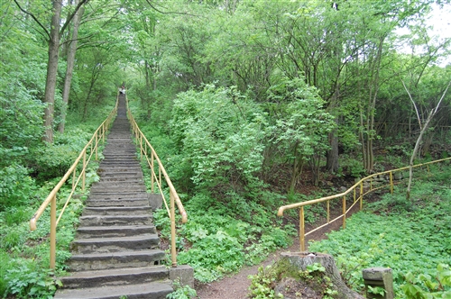 Obrázek v galerii