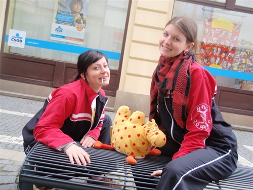 Obrázek v galerii