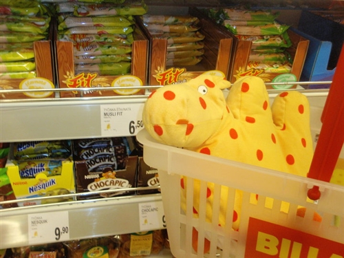 Obrázek v galerii