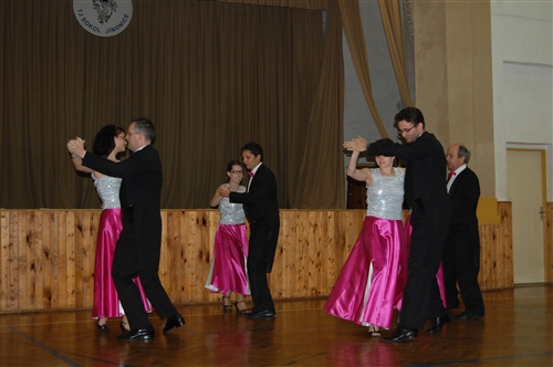 Obrázek v galerii