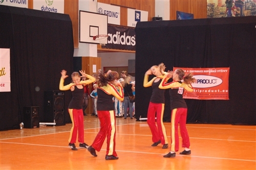 Obrázek v galerii
