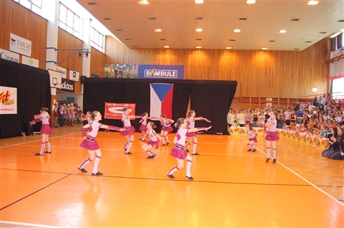 Obrázek v galerii