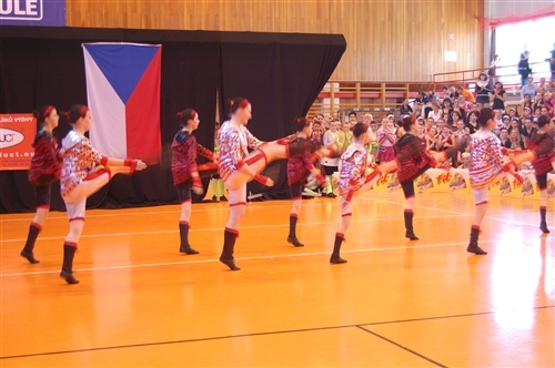 Obrázek v galerii