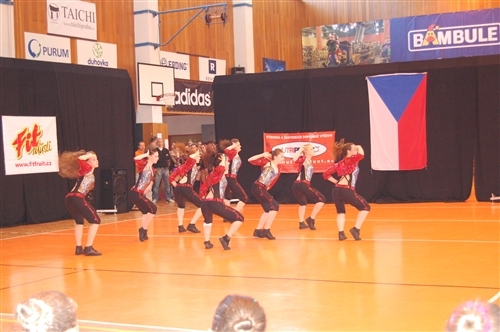 Obrázek v galerii