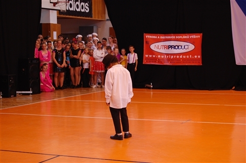 Obrázek v galerii