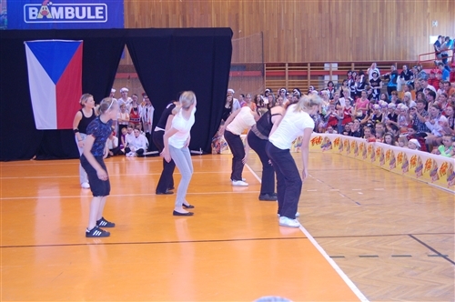Obrázek v galerii