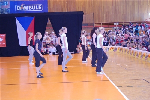 Obrázek v galerii
