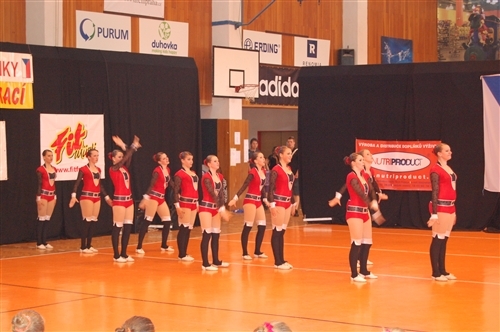 Obrázek v galerii