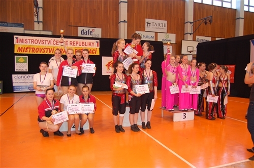Obrázek v galerii