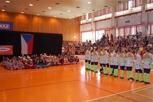 Obrázek v galerii