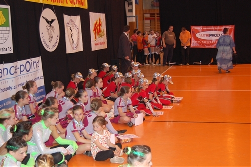 Obrázek v galerii